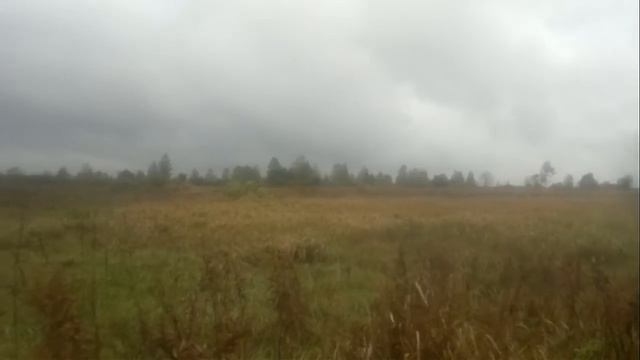 Охота по полевой дичи 1 Ведьма. смотреть онлайн