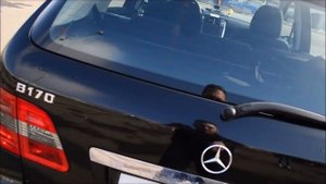 Обзор продаваемого автомобиля Mercedes Benz B 170