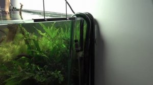 Как подключить СО2 в аквариуме