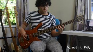 Bass Comparison (Fender, Hohner, Ibanez, Warwick)