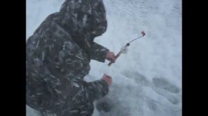 Ловля щуки на жерлицы#2 Кама.