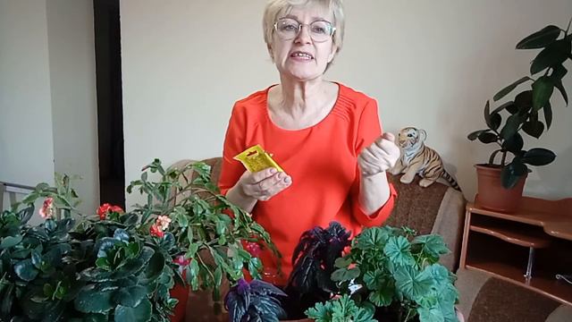 Уход за домашними цветами весной. Посеем Пожуем смотреть онлайн