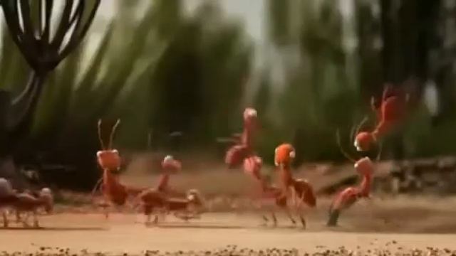 Смешной мультик про животных смотреть онлайн