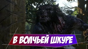 В волчьей шкуре (Вариант 1) || Игрофильм || Ведьмак 3: Дикая Охота