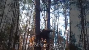 Трофейной action камеры бойца ВСУ