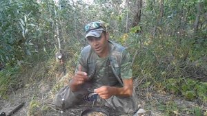 Подготовка перловицы для ловли сома с квоком