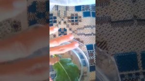 ОПУХОЛИ ОТ УШИБОВ ХОРОШО РАССАСЫВАЕТ