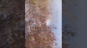 Рыбалка на ДОНУ КУРТУЛИ