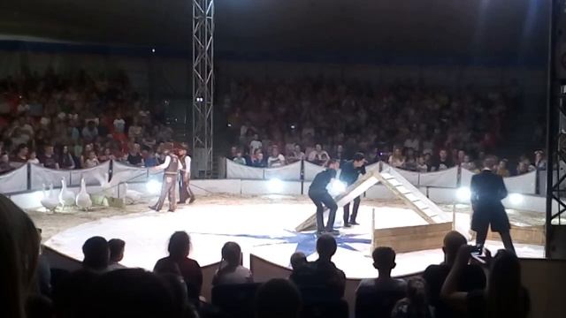 Ходила цирк в бухте КАМЫШИН смотреть онлайн