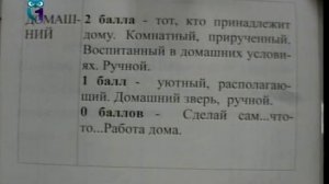 Общий психологический практикум. Лекция 8. Тест Векслера