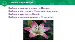 11 класс. Урок самопознания 31 "Век живи - век учись"