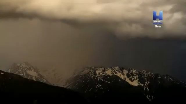 4 М смотреть онлайн