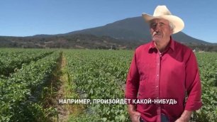Фермеры Мексики жалуются на дефицит удобрений из-за санкций против России