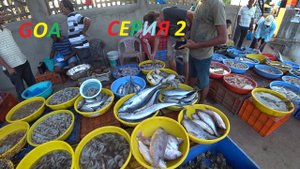 ГОА.РЫБНЫЙ РЫНОК.ГОТОВЛЮ КРАБОВ.ПРОБУЮ УСТРИЦ .mp4