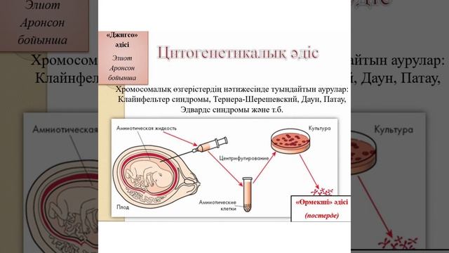 "Адам генетикасын зерттеу әдістері" смотреть онлайн