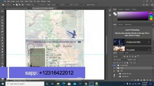 United Kingdom Passport PSD Template High Quality (UK)