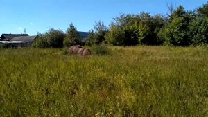 МОТОБЛОК НА СЕНОКОСЕ