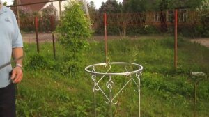 Ограждение для кустов своими руками.