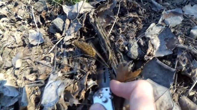 Поиск грибов весной. Сморчки. Открытие сезона 2018 смотреть онлайн