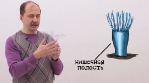 Мусорное биомоделирование. Медузы и их родственники. Часть 1 - Полипы.
