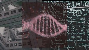 Продуктивность и трудолюбие [ Саблиминал / Subliminal ]