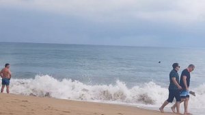 Желтое море