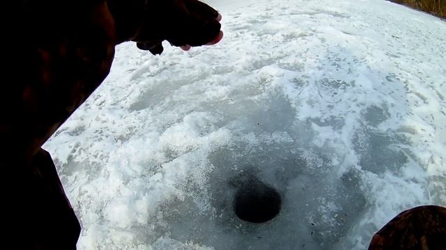 ЛОВЛЯ ПЛОТВЫ ЗИМОЙ . Рыбалка на поплавок смотреть онлайн