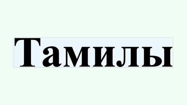 Тамилы