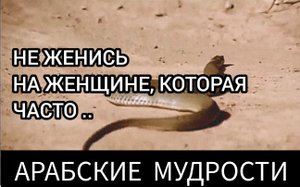 Лучшие арабские МУДРОСТИ