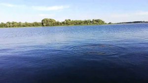 🎣Рыбалка на Волге. Крупная краснопёрка на вертушку.12+