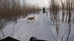 ПРОХВАТ НА ОБЬ