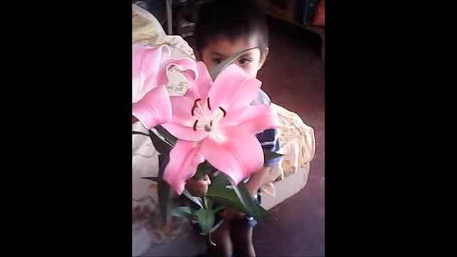 para charlie de alexander alvarado смотреть онлайн