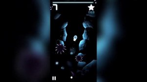 SEASHINE•Обзор