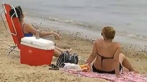 На Аргентинском Пляже Пираньи Покусали 70 Человек