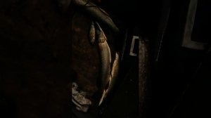 жаровские озера.