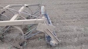 Самодельный культиватор!  Культивация участка после суданки .