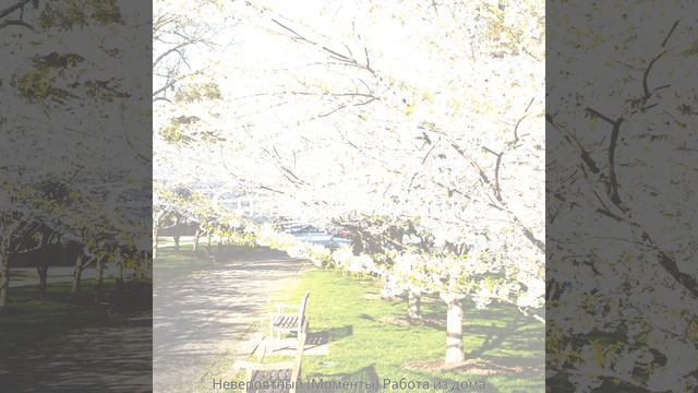 Приглушенный - Эхо смотреть онлайн