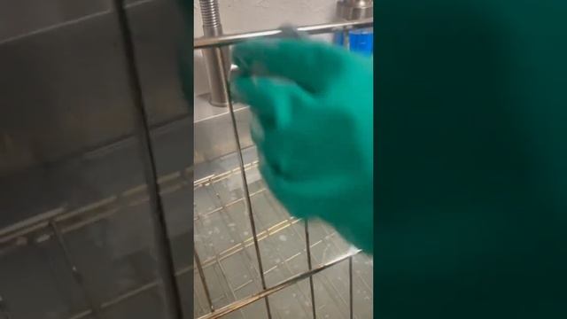 How to Clean An Oven