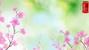 Песня про весну для начальных классов на английском языке. SPRING IS HERE