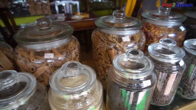 Kochi, Fort kochi Episode  1 Kerala Tourism | Things to do in Kochi