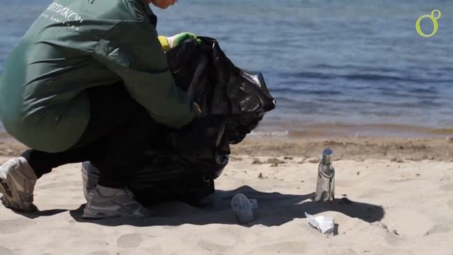 Мешки для мусора из вторичного полиэтилена смотреть онлайн