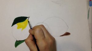 Натюрморт с лимонами, гуашью/ lemon drawing/ lesson step by step.