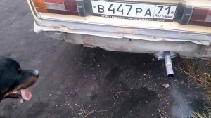 ротвейлер vs глушитель