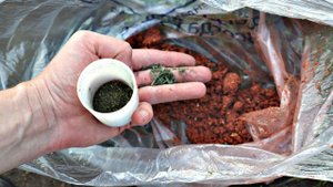 Натрите это в прикормку весной в апреле мае для супер клева плотвы и карася! Весенняя прикормка