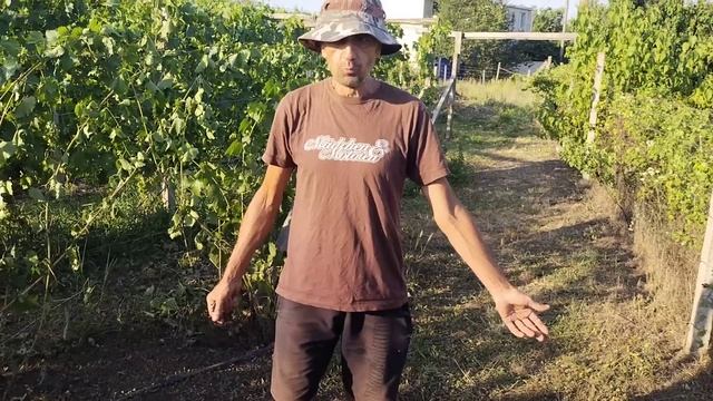 Херсон. Ночной сюрприз. смотреть онлайн