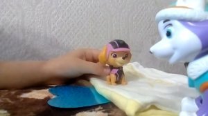 Мультик от Скай и Эверест. Скай не хочет ложиться спать.