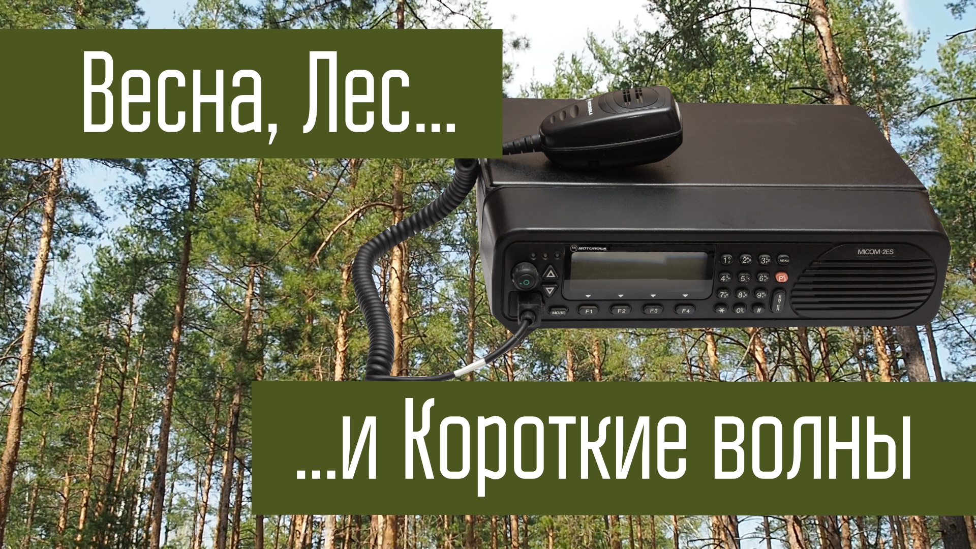 Motorola Micom, лес, весна и короткие волны.