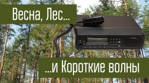 Motorola Micom, лес, весна и короткие волны.