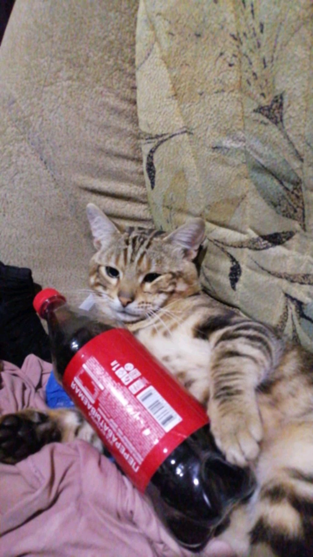 всем привет, я буду играть в роблокс. смотреть онлайн