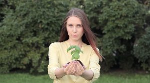 Как посадить дерево через банкомат Почта Банка?